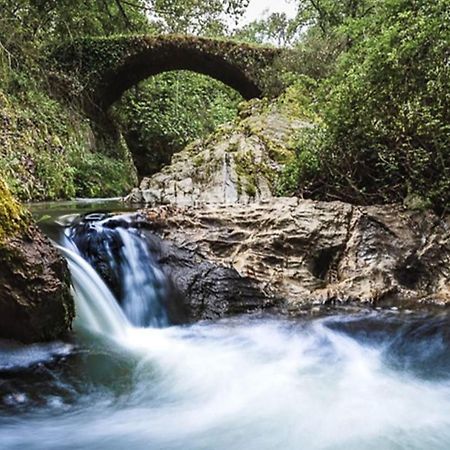 Finca Charco La Olla Jabugo Exteriér fotografie