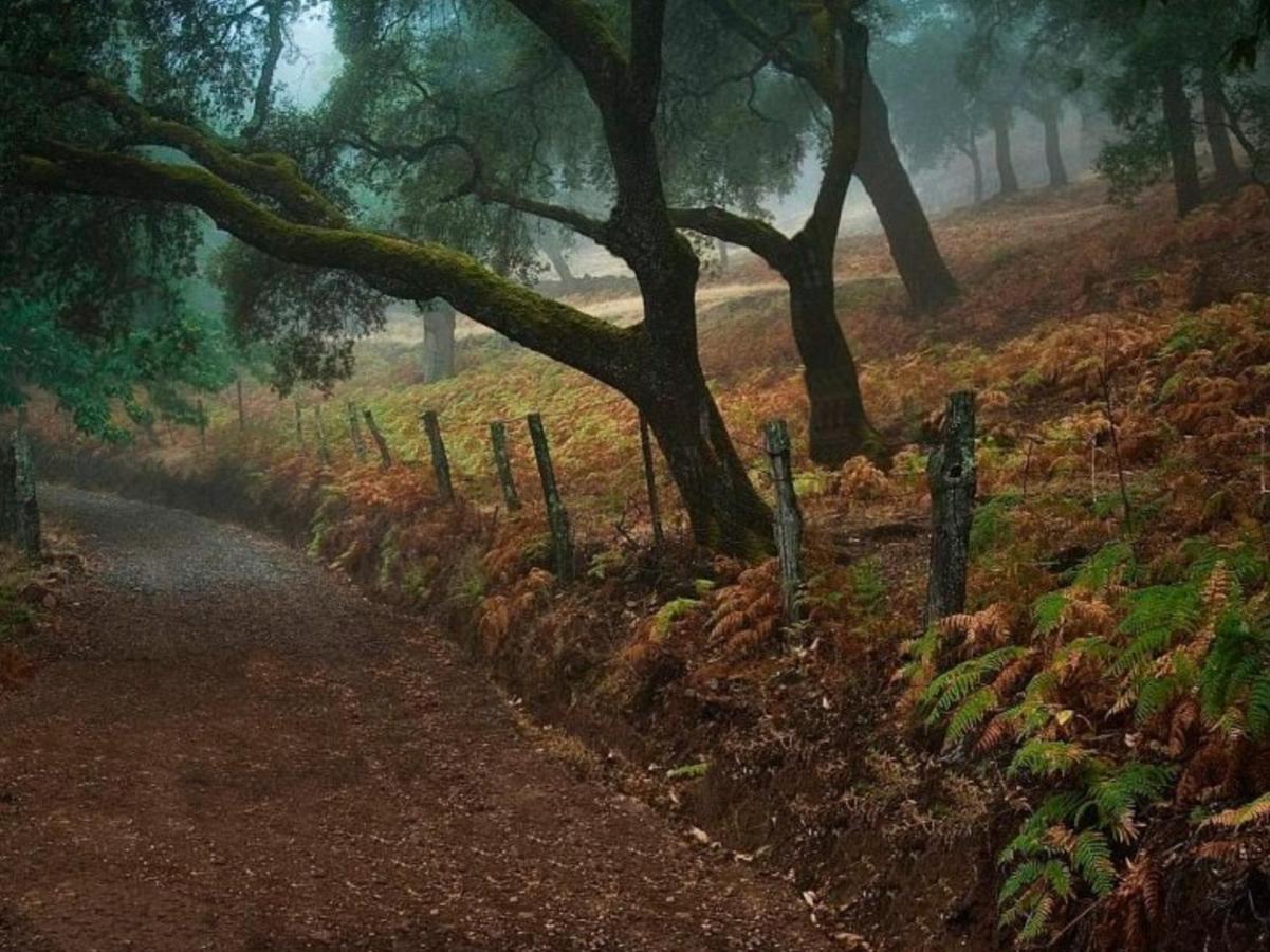 Finca Charco La Olla Jabugo Exteriér fotografie